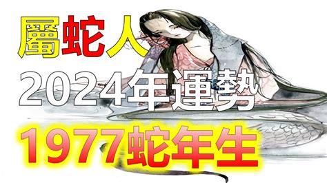 1977屬蛇幸運色2023|属蛇1977年出生的人2023年全年运程运势